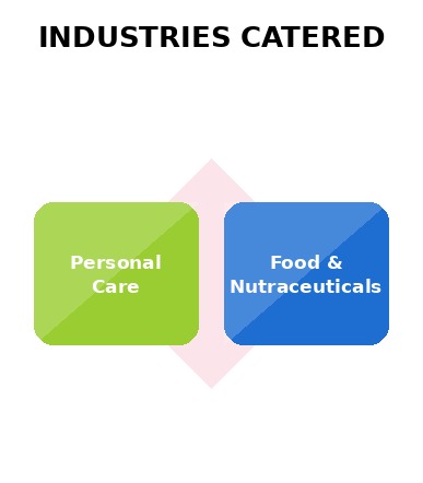 Industries served by Vision Life Technologies